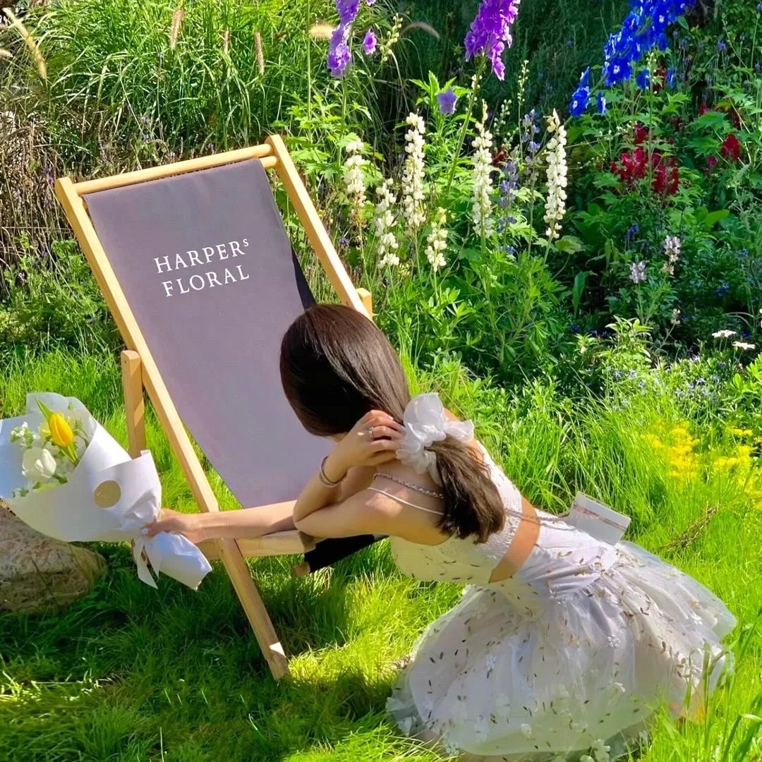 大怪兽空中战 加美拉对混沌鸟